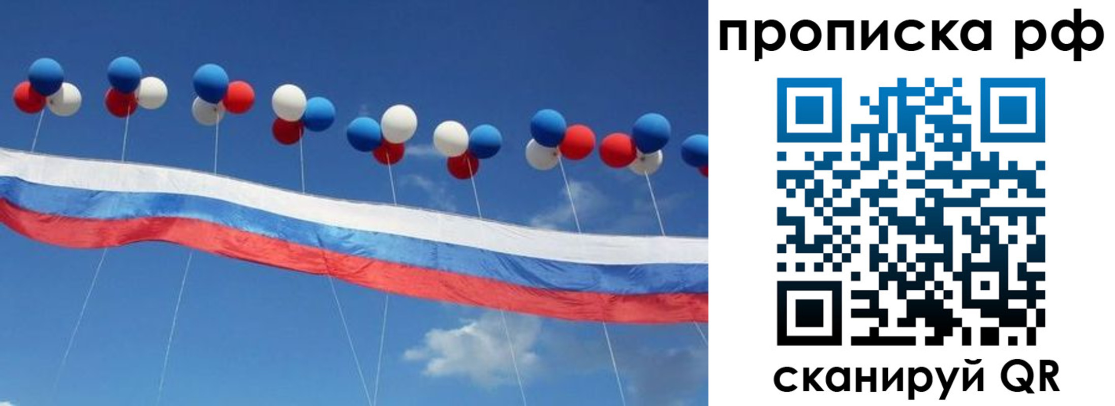 найти адрес прописки в Электрогорске